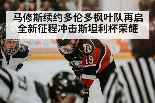 马修斯续约多伦多枫叶队再启全新征程冲击斯坦利杯荣耀